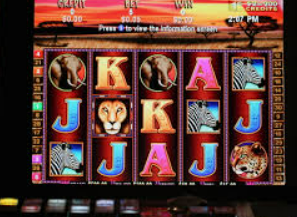 森林舞会电玩城免费版