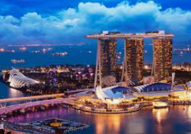 森林舞会电玩城手机版